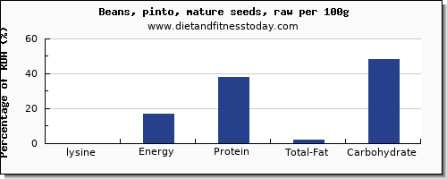 lysine and nutrition facts in pinto beans per 100g